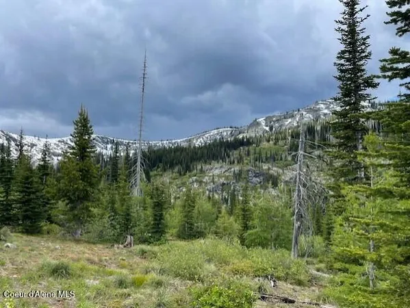 $1,120,000 | N 320-ac North 320-ac Shoot Creek Road, Kooskia, ID 83539