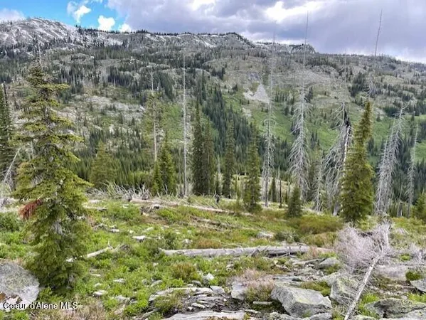 $1,120,000 | N 320-ac North 320-ac Shoot Creek Road, Kooskia, ID 83539