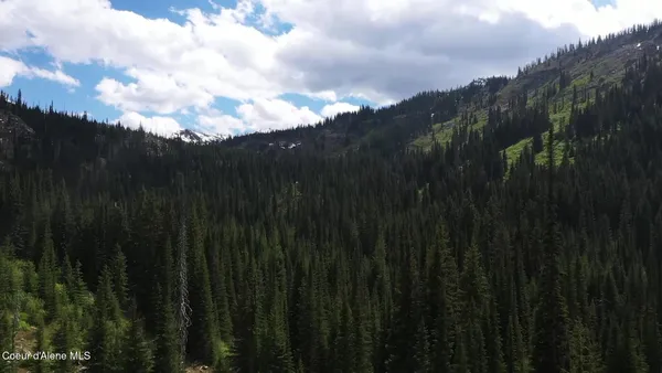 $1,120,000 | N 320-ac North 320-ac Shoot Creek Road, Kooskia, ID 83539