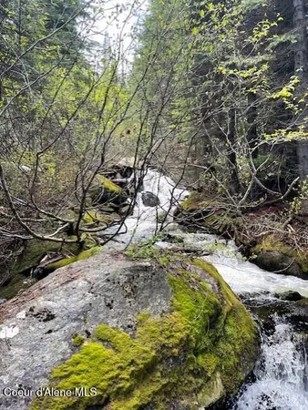 $1,120,000 | N 320-ac North 320-ac Shoot Creek Road, Kooskia, ID 83539