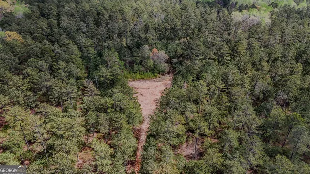 a view of a lake with large trees