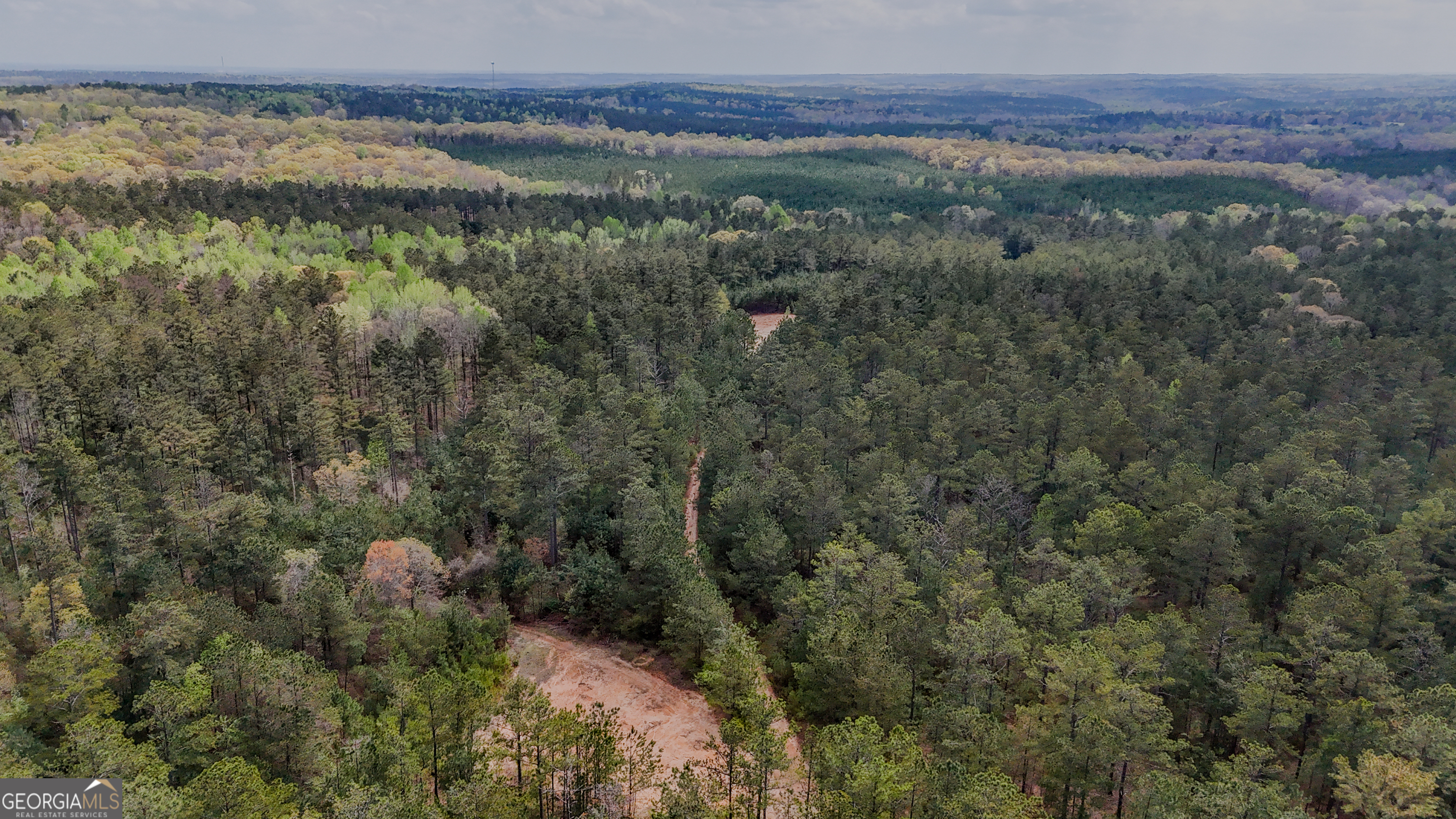 0 East Wayside Road Carrollton, GA 30116 - Photo 2 of 10 a view of a lake in middle of forest