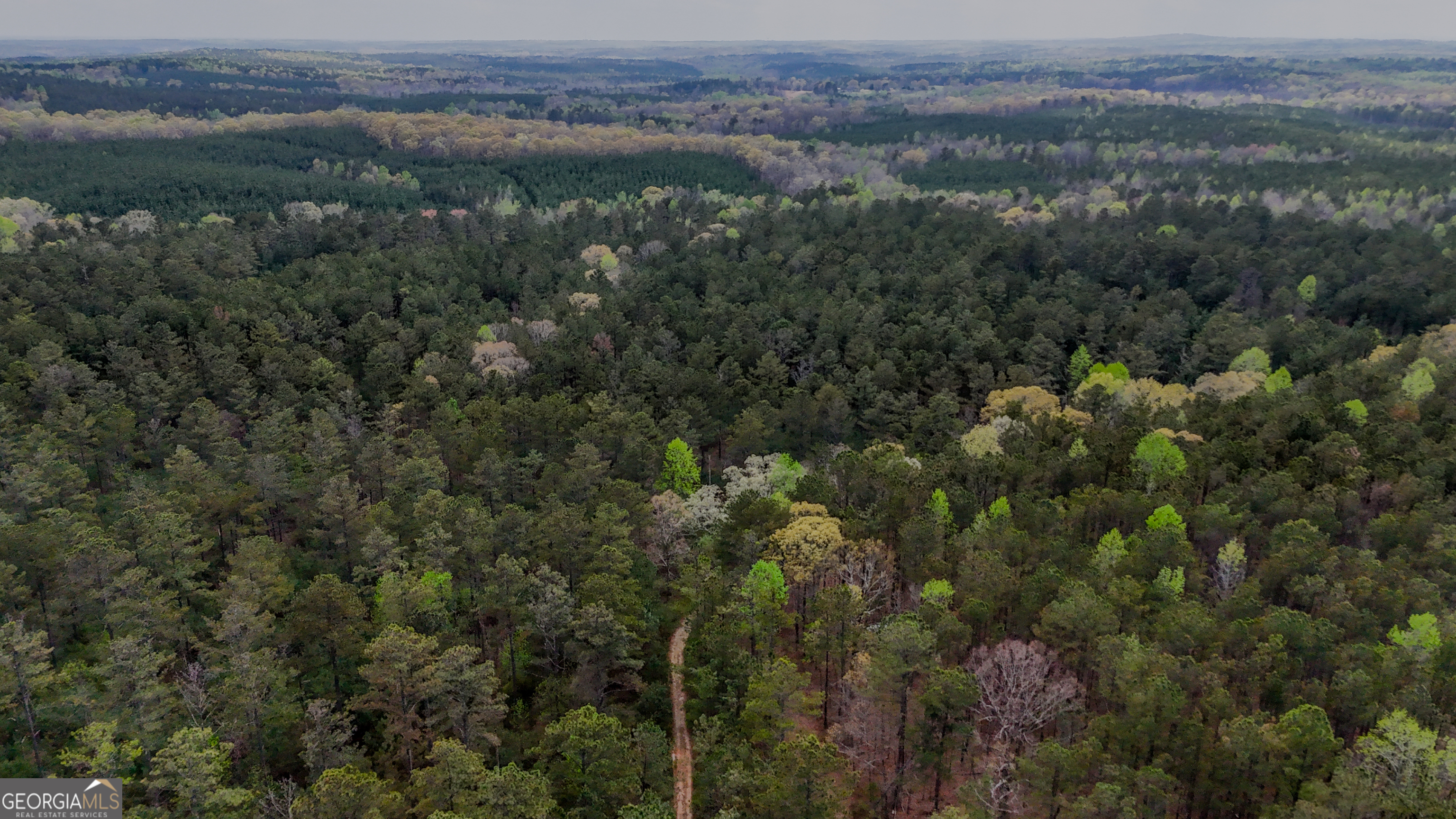 0 East Wayside Road Carrollton, GA 30116 - Photo 3 of 10 an aerial view of forest