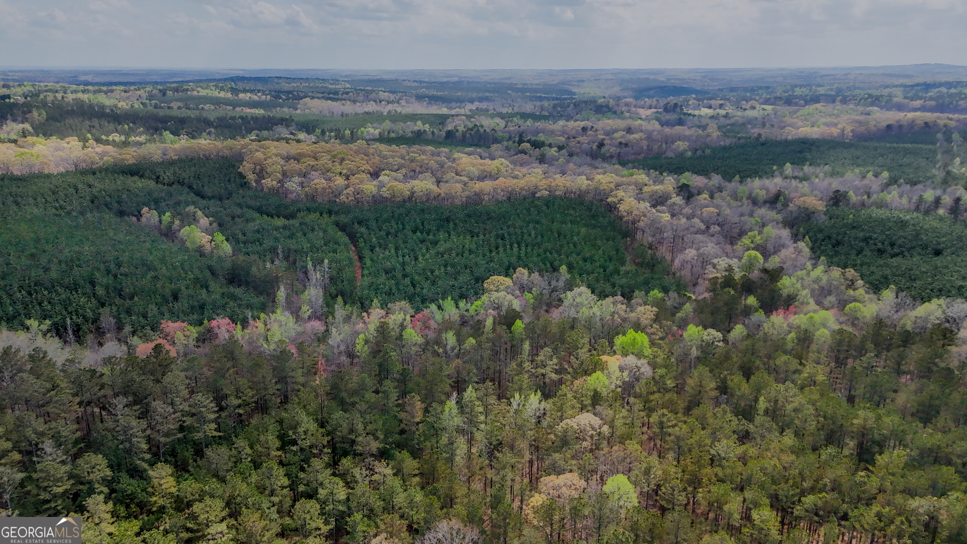0 East Wayside Road Carrollton, GA 30116 - Photo 5 of 10 an aerial view of forest