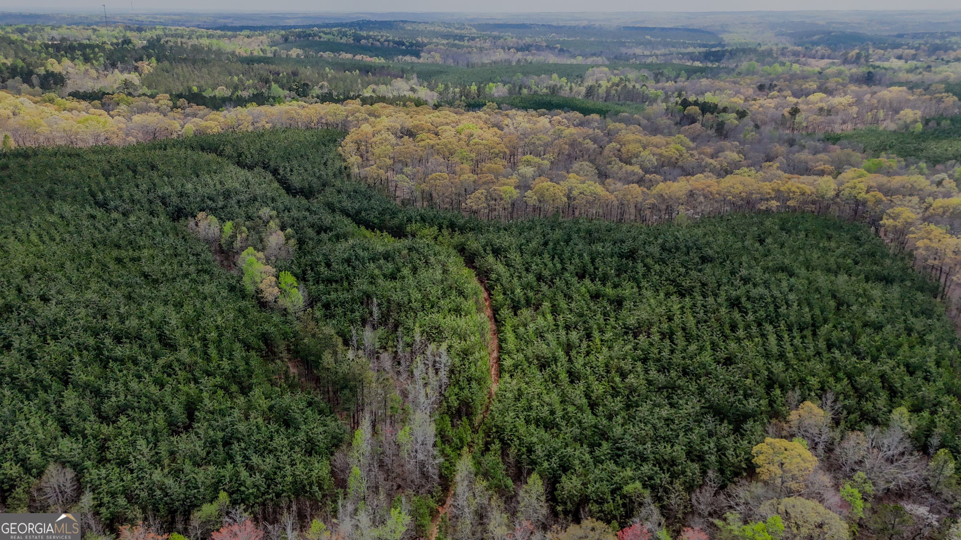 0 East Wayside Road Carrollton, GA 30116 - Photo 6 of 10 an aerial view of forest