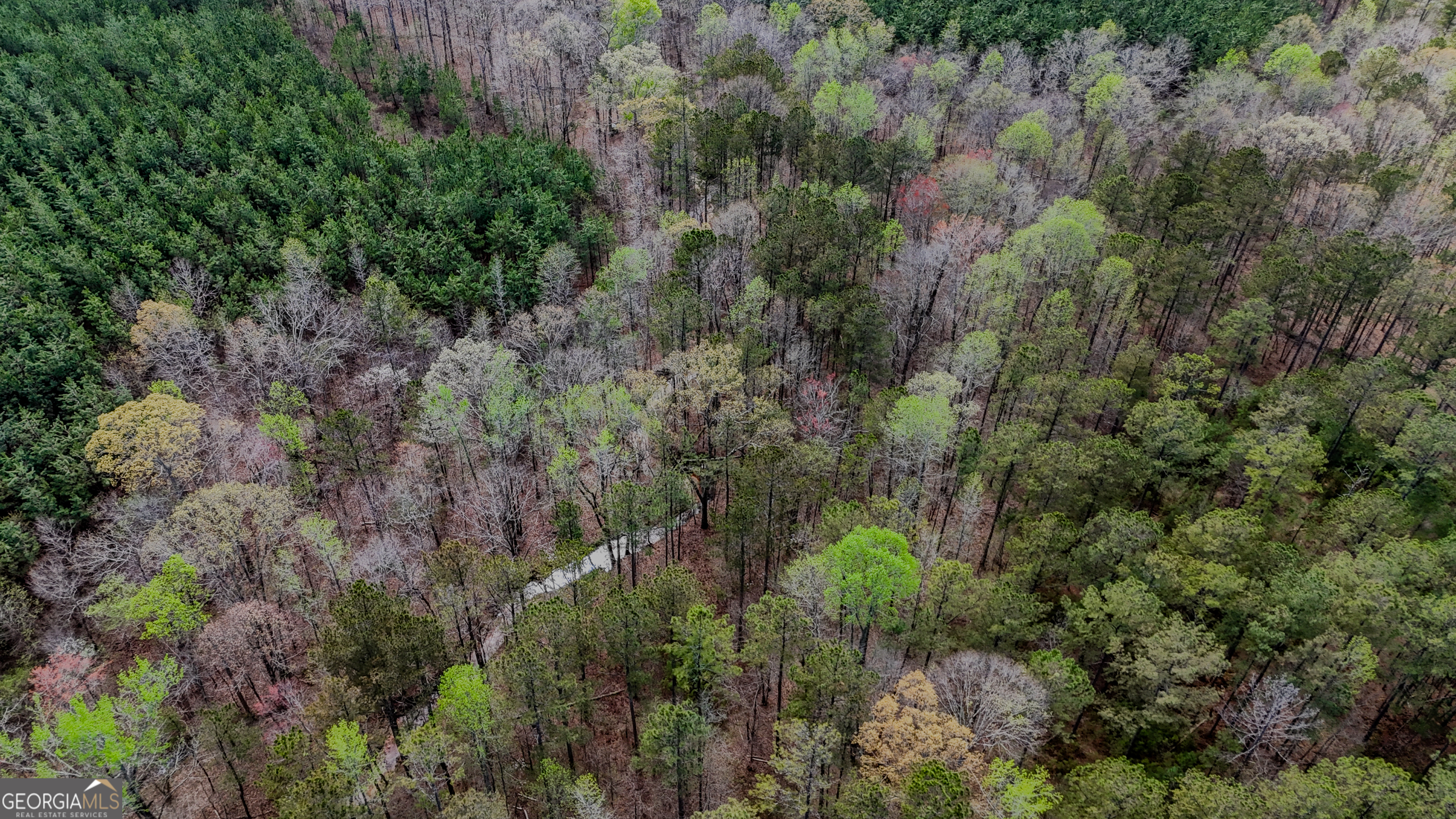 0 East Wayside Road Carrollton, GA 30116 - Photo 7 of 10 a view of a forest with a street