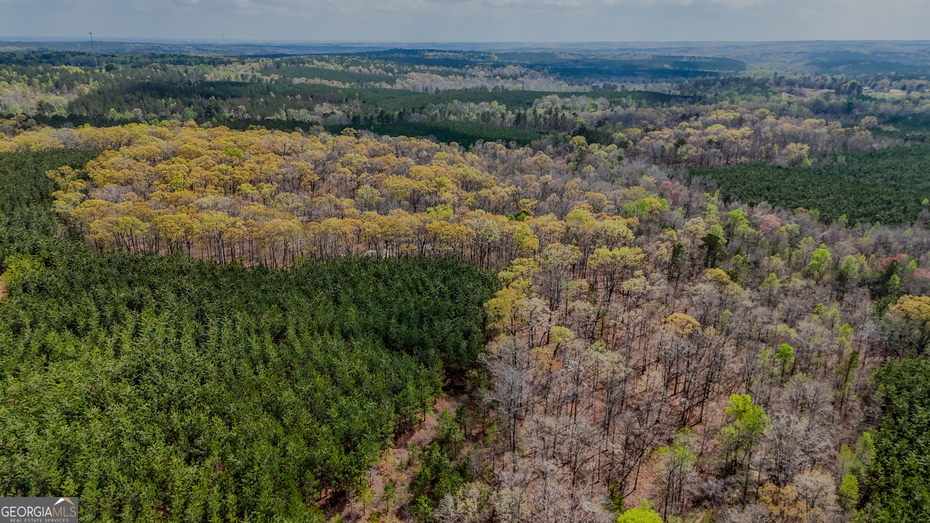0 East Wayside Road Carrollton, GA 30116 - Photo 8 of 10 a view of lake with mountain