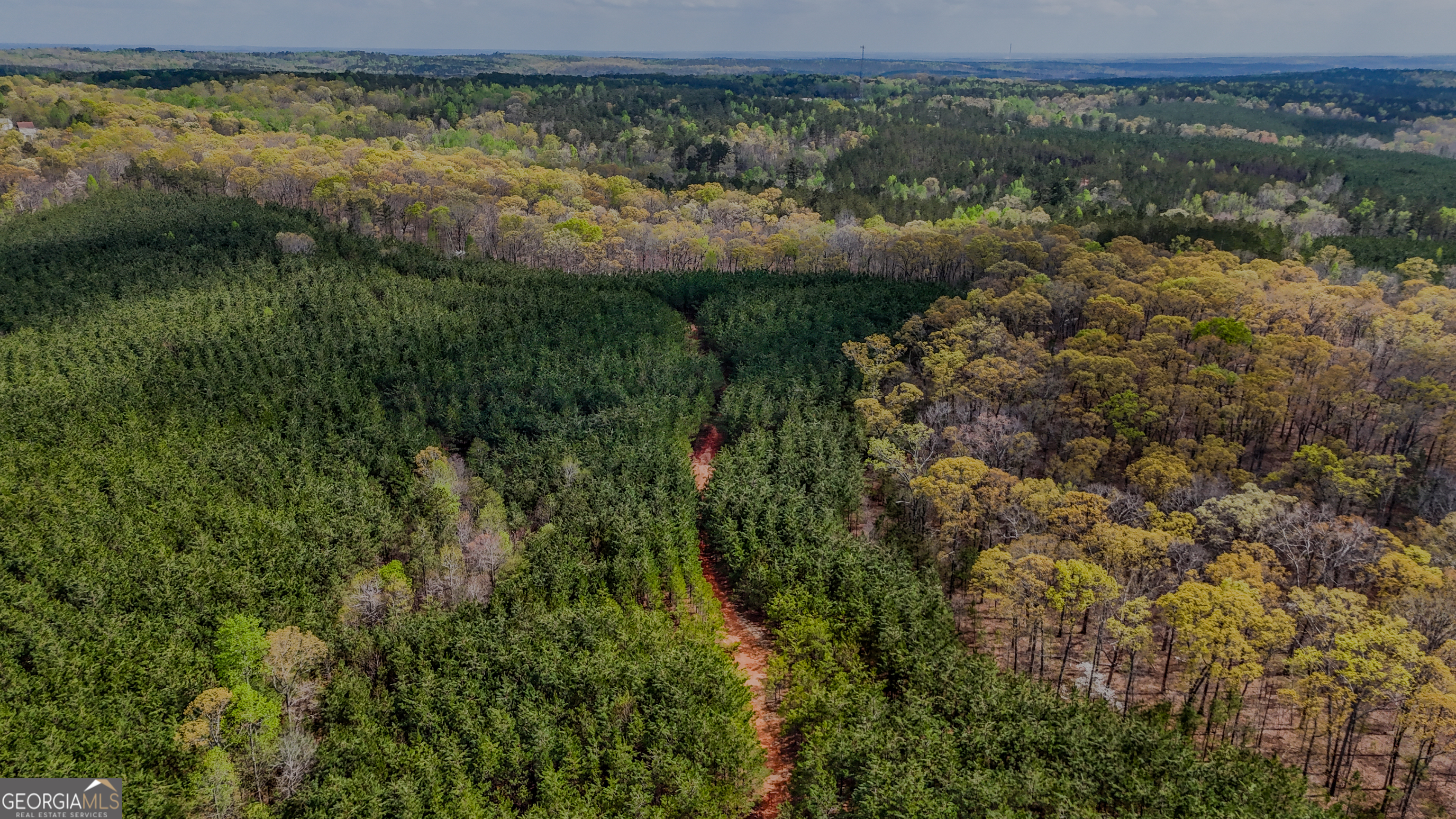0 East Wayside Road Carrollton, GA 30116 - Photo 9 of 10 a view of a lake with a forest