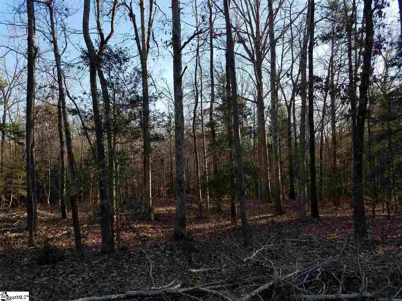 26324 Carolina Way Fountain Inn, SC 29644 - Photo 3 of 4