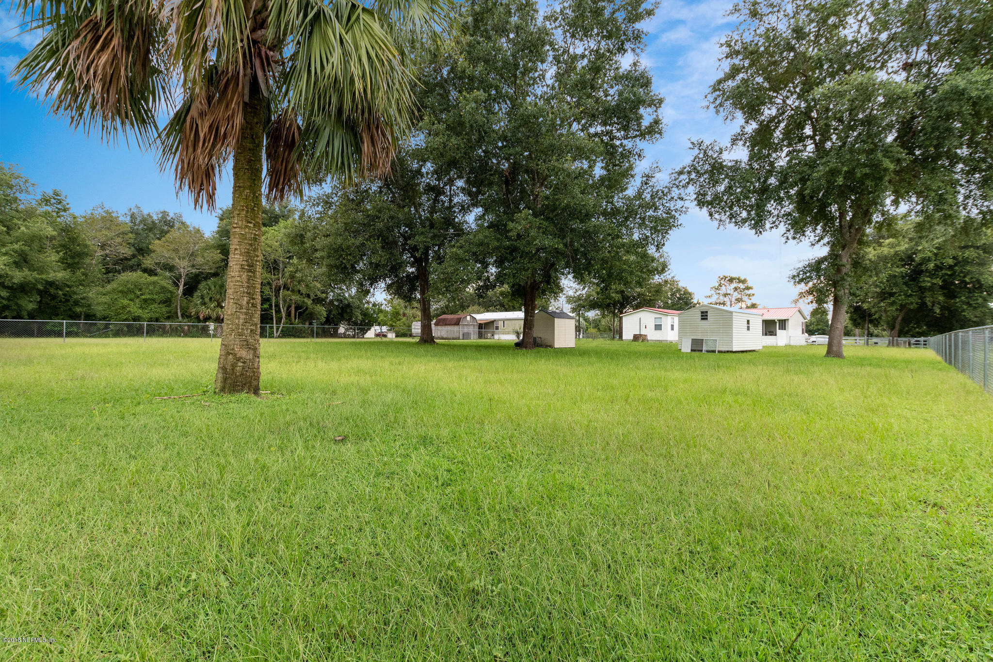 120 Hamilton Road Satsuma, FL 32189 - Photo 25 of 32 Back Yard 2