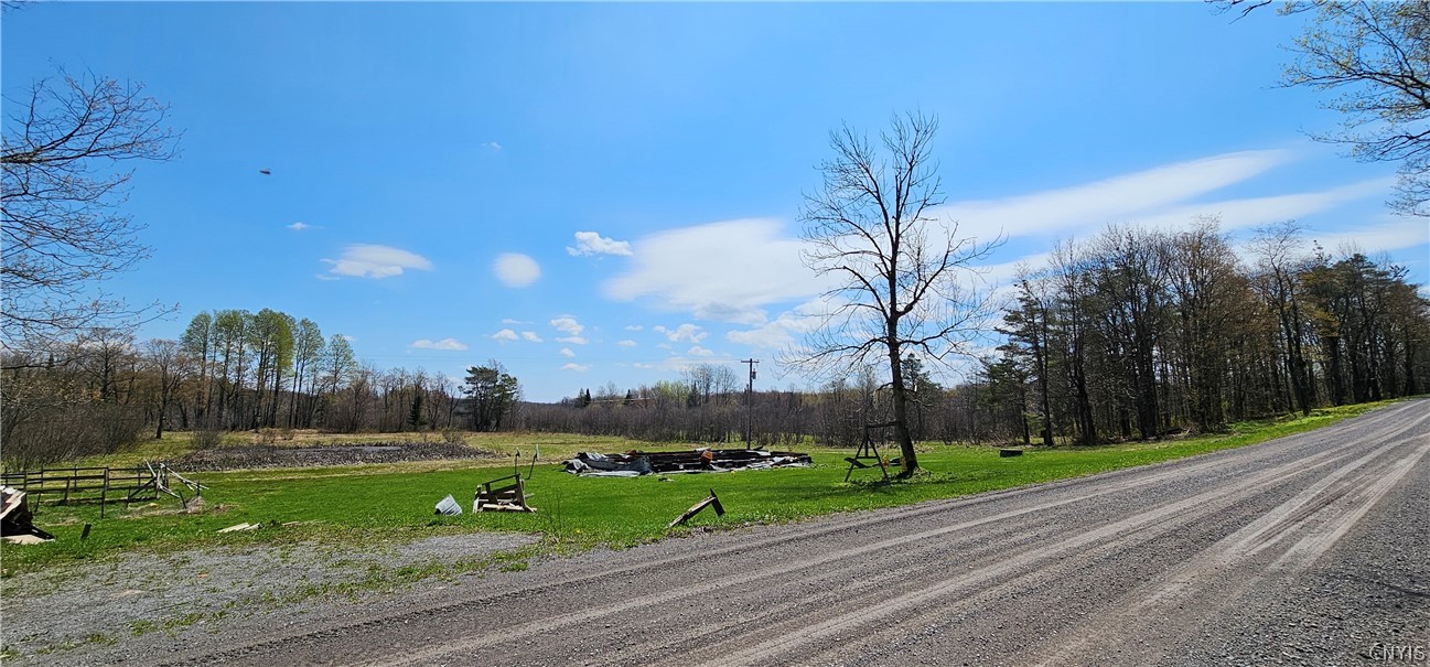 8098 Mc Gowan Road Pinckney, NY 13626 - Photo 4 of 7