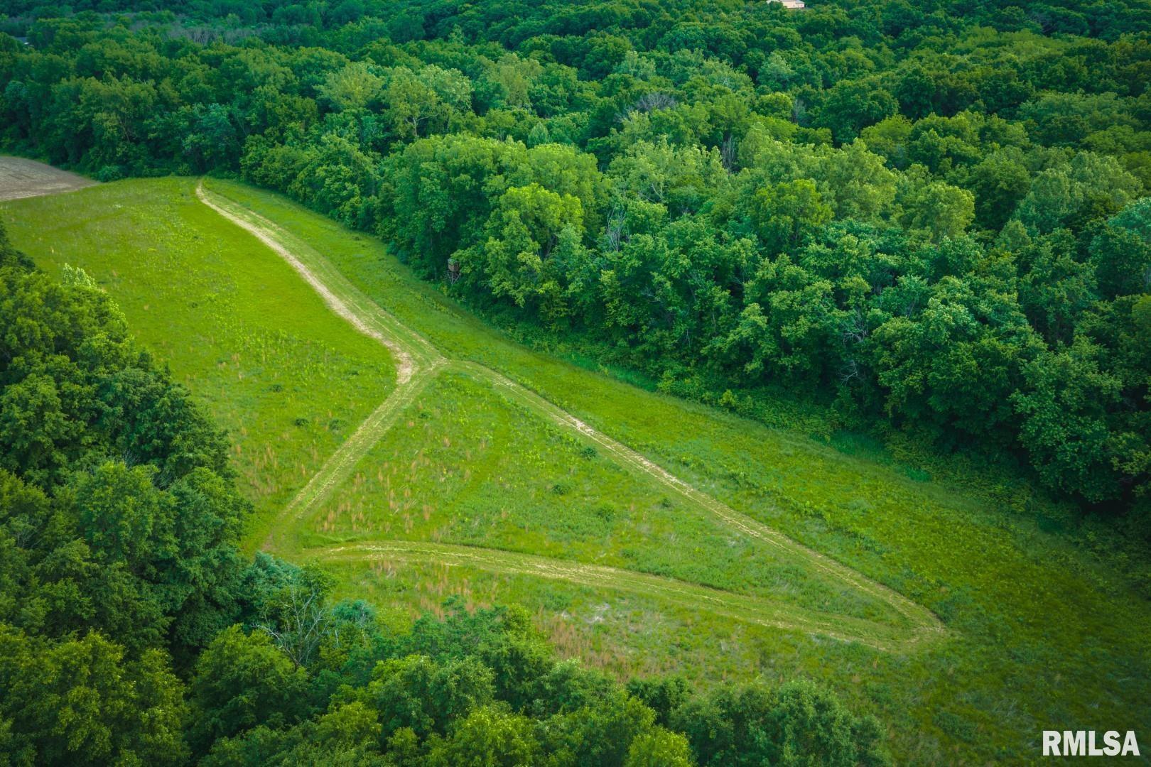 12481 Timber Ridge Godfrey, IL 62035 - Photo 82 of 98