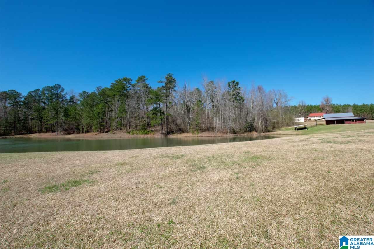960 Rock Springs Road Warrior, AL 35180 - Photo 41 of 46