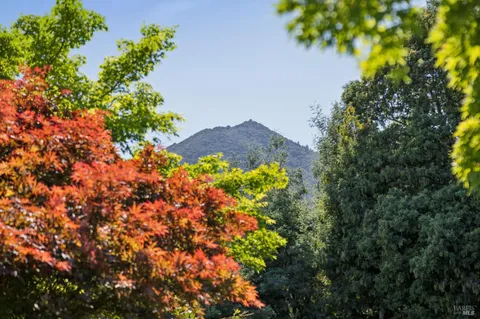 $1,750,000 | 85 Berens Drive, Kentfield, CA 94904