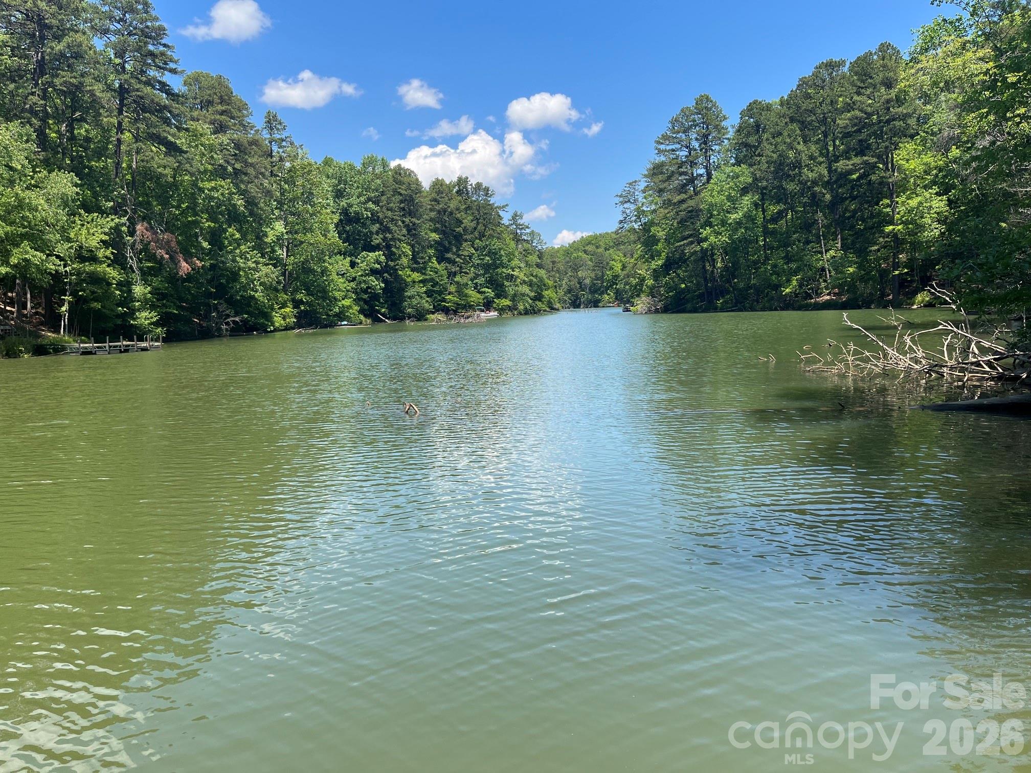 617 South Cove Road Mill Spring, NC 28756 - Photo 43 of 48