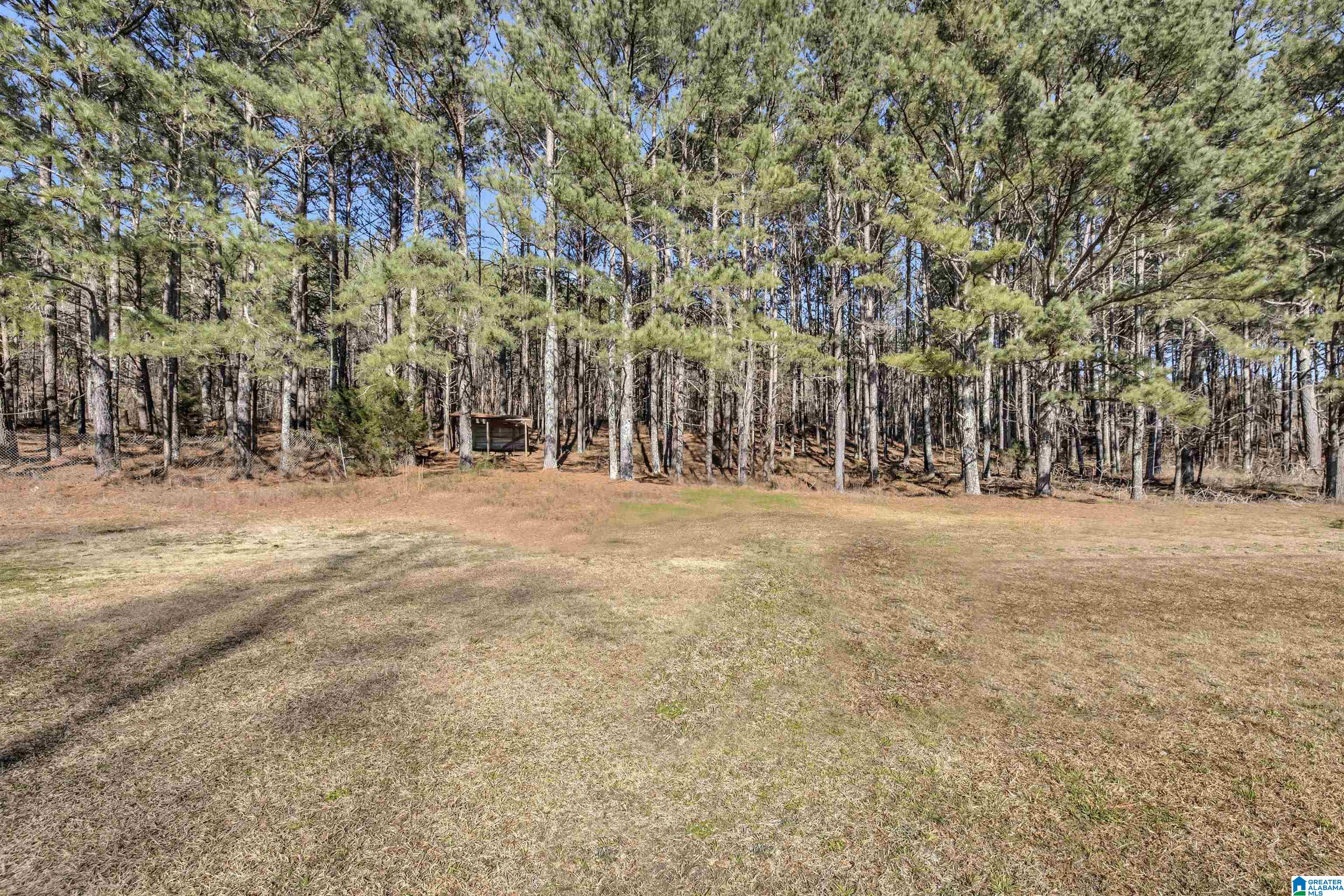 4580 Tucker Mountain Road Remlap, AL 35133 - Photo 8 of 40