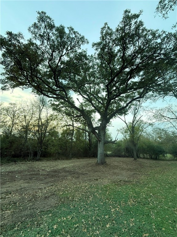 0 West Barton Street Calvert, TX 77837 - Photo 3 of 7 a view of backyard with green space