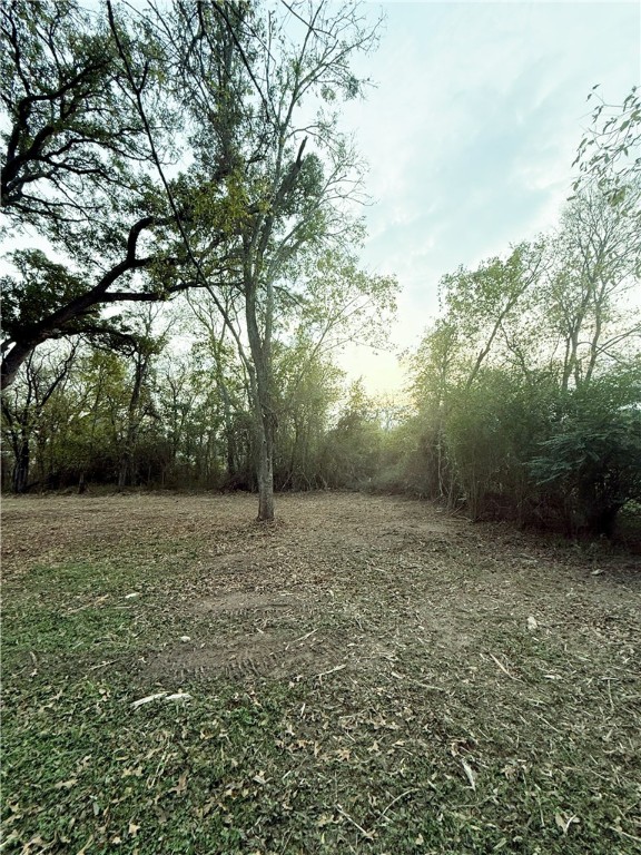 0 West Barton Street Calvert, TX 77837 - Photo 4 of 7 a view of outdoor space and yard