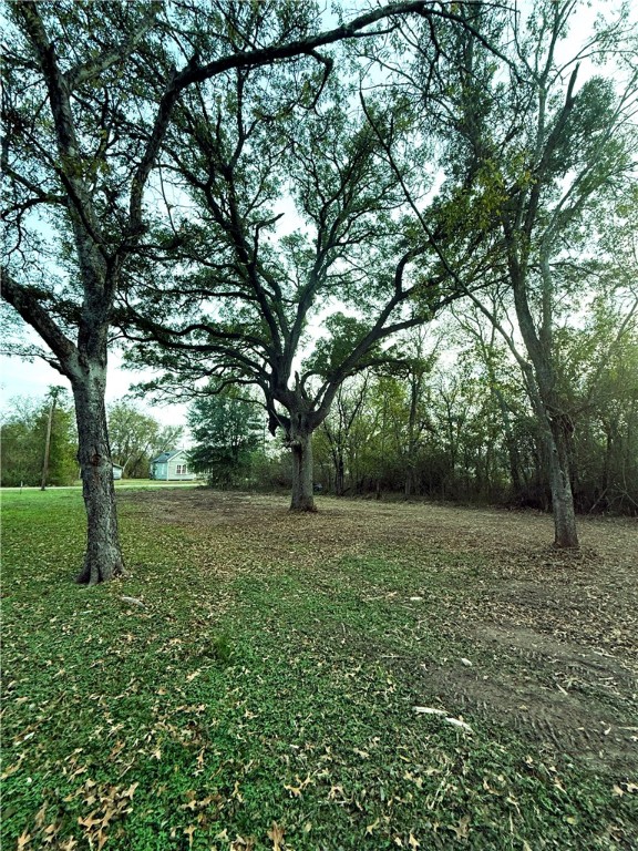 0 West Barton Street Calvert, TX 77837 - Photo 5 of 7 a view of outdoor space and yard