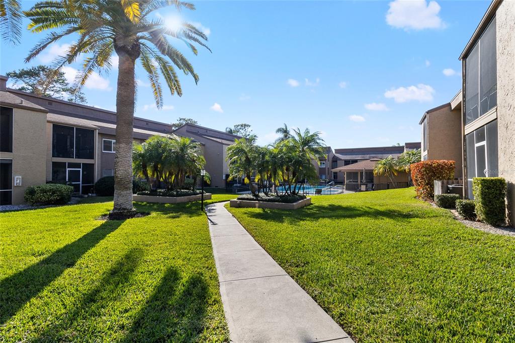 1579 Greenlea Drive, Unit 12 Clearwater, FL 33755 - Photo 33 of 42 a view of a house with swimming pool and a yard