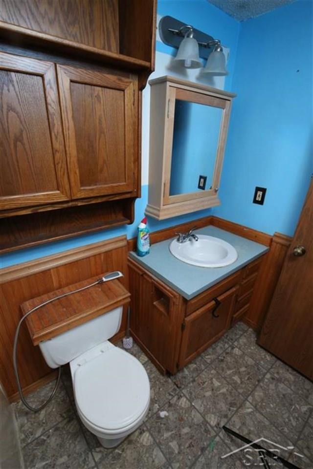 4822 West Vernon Road Weidman, MI 48893 - Photo 19 of 37