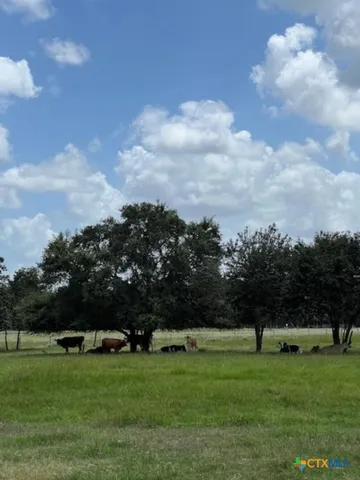 a view of a grassy field