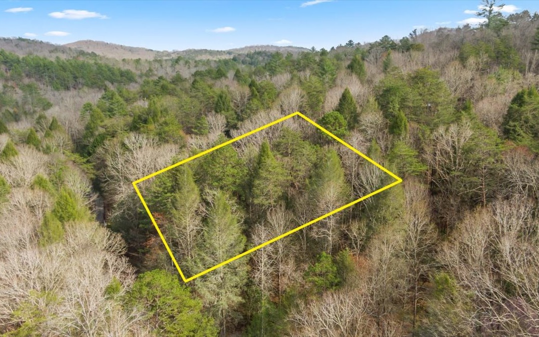 39 Hemlock Trail Blue Ridge, GA 30513 - Photo 3 of 10 Additional View