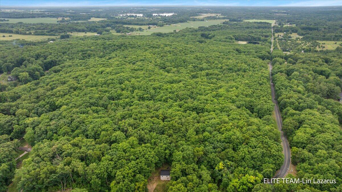 6718 Schmeid Road Lakeview, MI 48850 - Photo 48 of 58