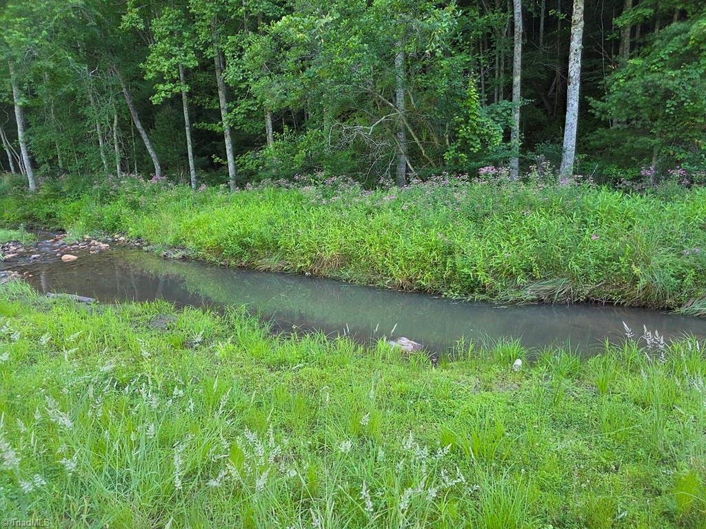 3205 Sheets Gap Road Millers Creek, NC 28651 - Photo 18 of 46