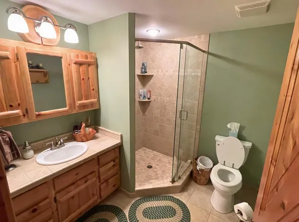 $1,500,000 | 6402 Rustic Pne Trail, Alanson, MI 49706