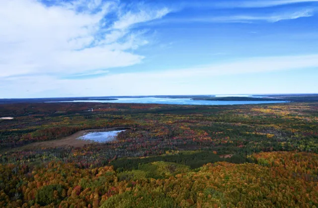 $1,500,000 | 6402 Rustic Pne Trail, Alanson, MI 49706