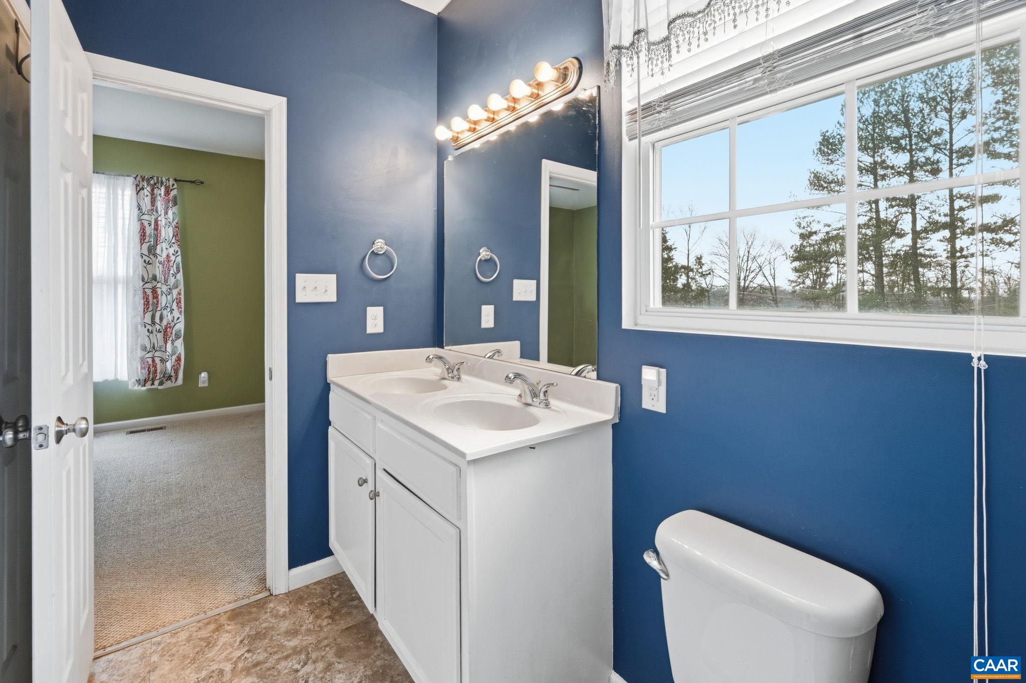 2093 Swift Run Road Ruckersville, VA 22968 - Photo 22 of 57 a bathroom with a toilet sink and mirror