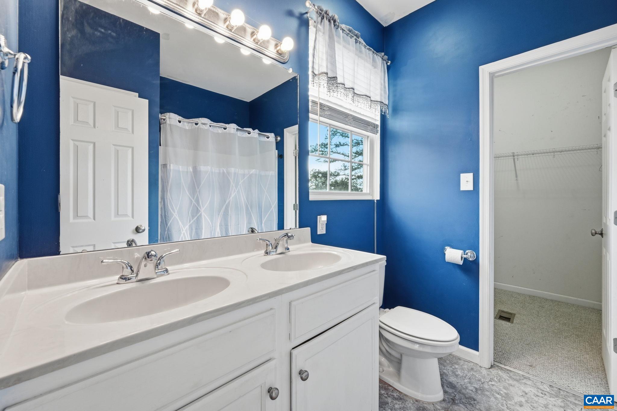 2093 Swift Run Road Ruckersville, VA 22968 - Photo 23 of 57 a bathroom with a sink a toilet and shower