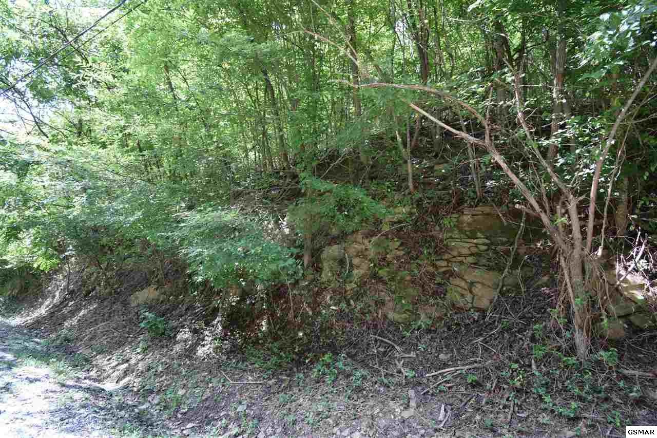 584 Sugar Loaf Road Sevierville, TN 37876 - Photo 5 of 7 Gallery Image 5