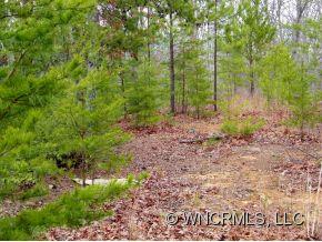 Lot 27 Rock Ridge Rd Lake, Unit 27 Lake Lure, NC 28746 - Photo 8 of 11