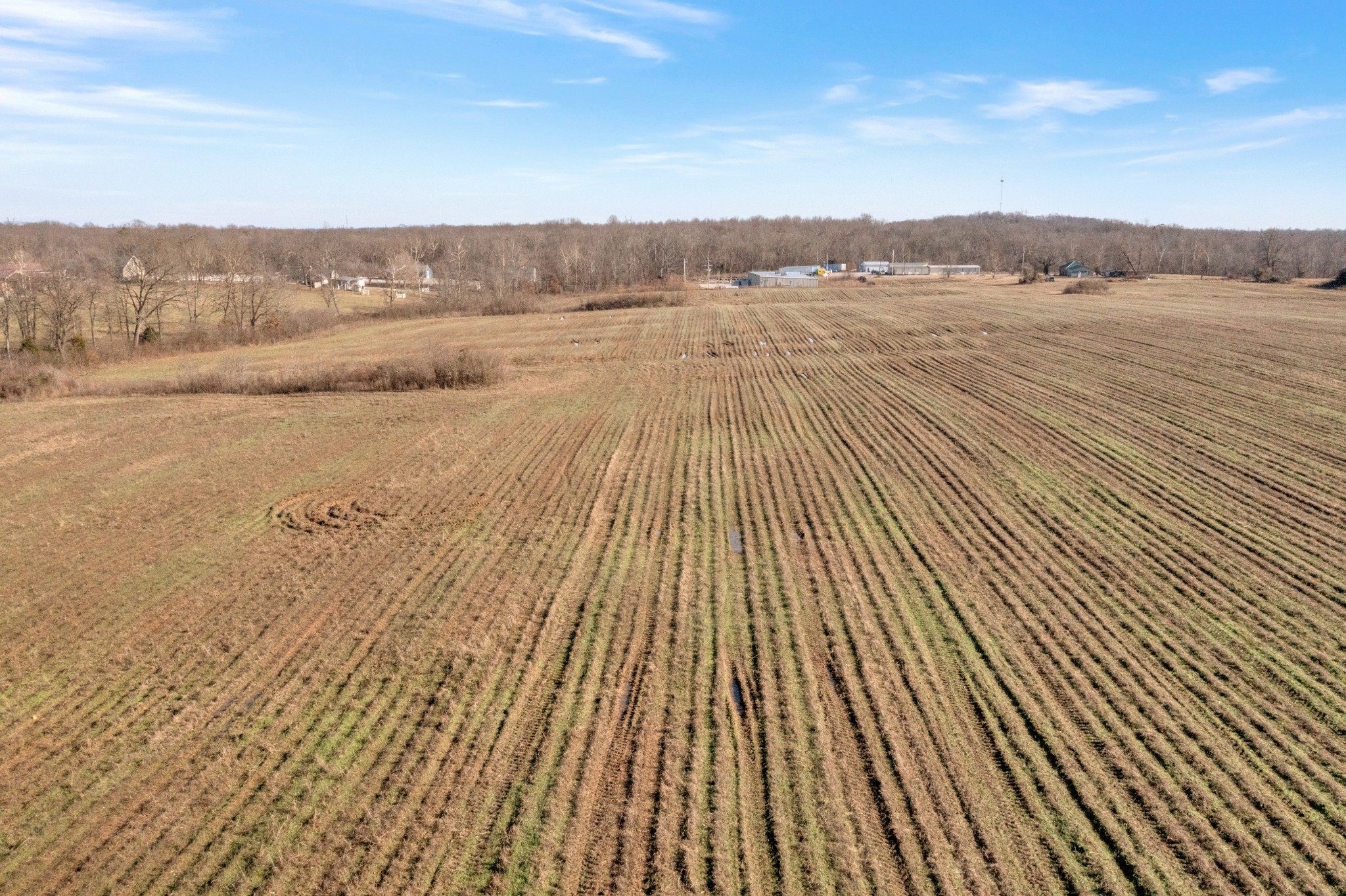 0 Madisonville Road Hopkinsville, KY 42240 - Photo 4 of 16 a view of an ocean beach