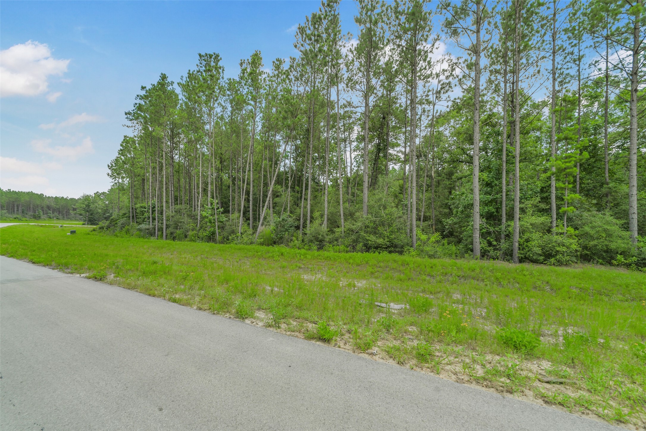 15832 Ridge Oak Road Willis, TX 77378 - Photo 13 of 14