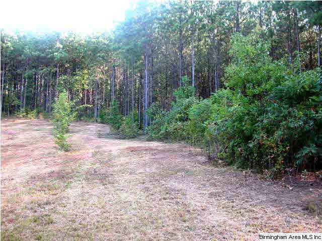 0 Lees Bridge Road, Unit 27 ACRES Delta, AL 36258 - Photo 7 of 8