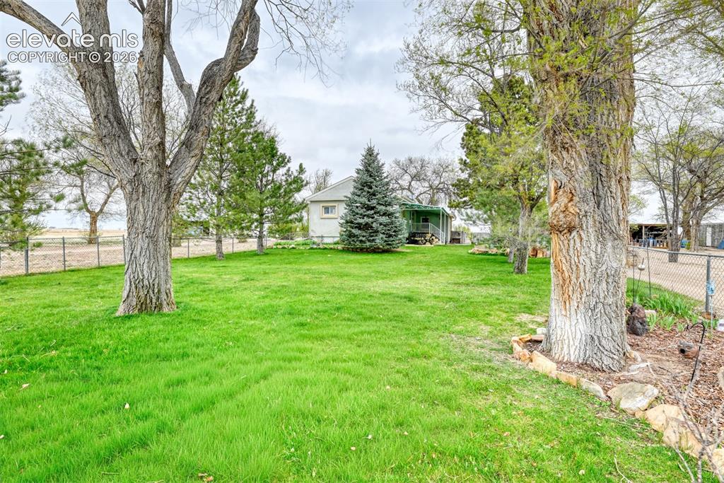 22558 Enoch Road Calhan, CO 80808 - Photo 28 of 50 a view of a trees in a yard with large trees