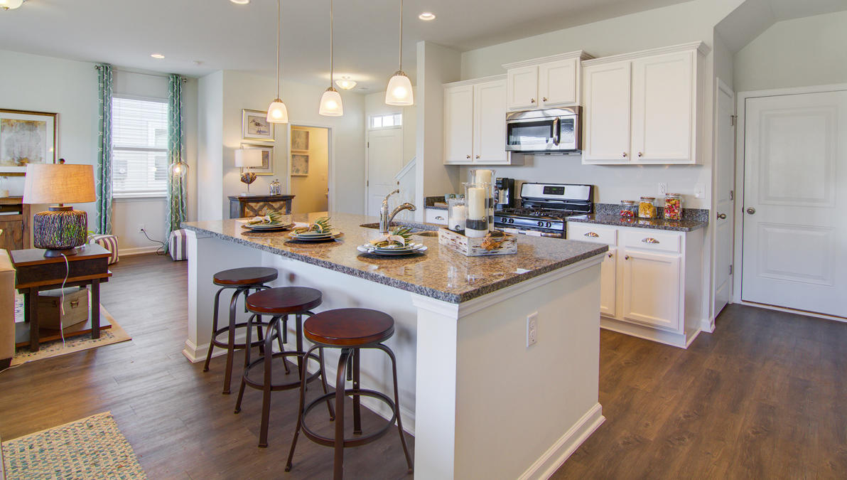 408 Blue Elderberry Run Moncks Corner, SC 29461 - Photo 11 of 27 Aisle Furnished Interior 1 (8)