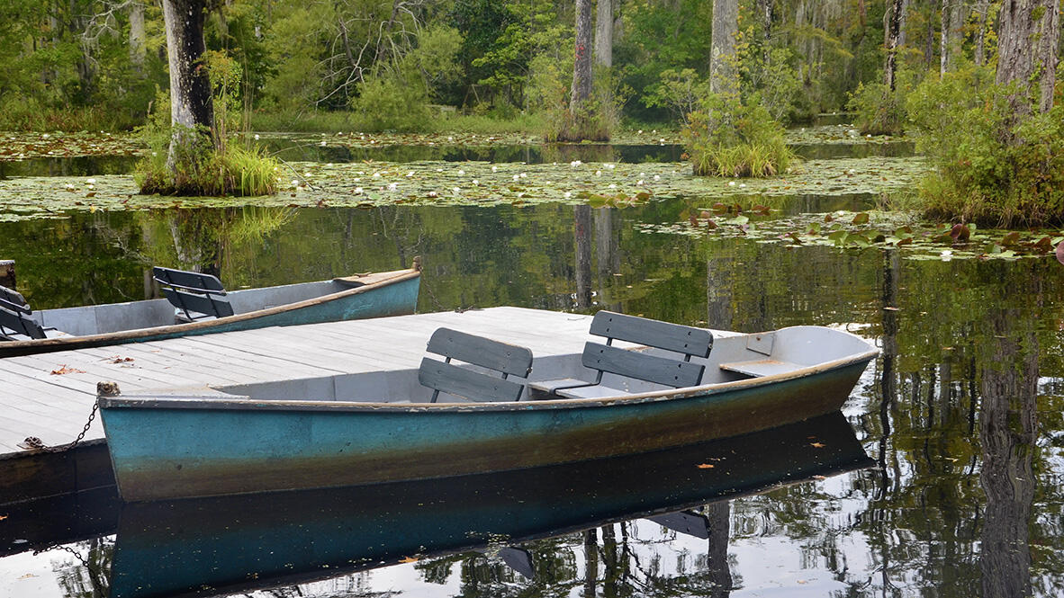 408 Blue Elderberry Run Moncks Corner, SC 29461 - Photo 25 of 27 Stone-Ridge-Cypress-Gardens_web