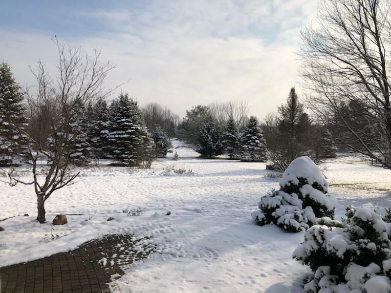 3708 Klam Road Columbiaville, MI 48421 - Photo 54 of 63 50087250-53.JPG