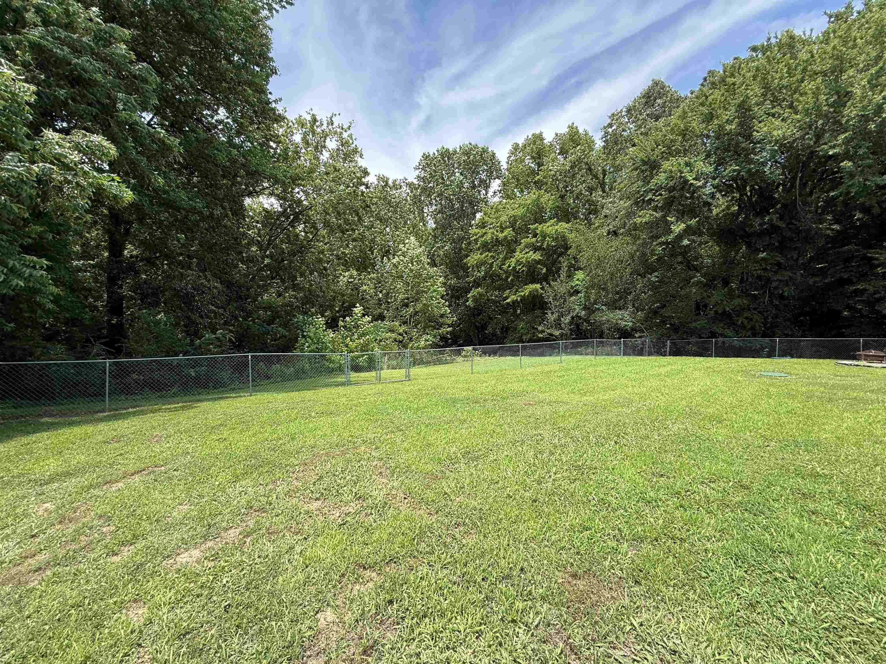 185 Mignon Road Atoka, TN 38004 - Photo 31 of 34 Expansive rear yard featuring green grass, a chain-link fence, and a backdrop of mature trees