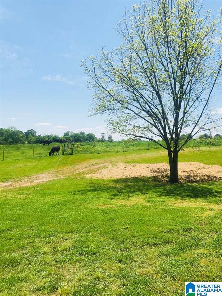 2070 County Road 28 Ranburne, AL 36273 - Photo 36 of 40