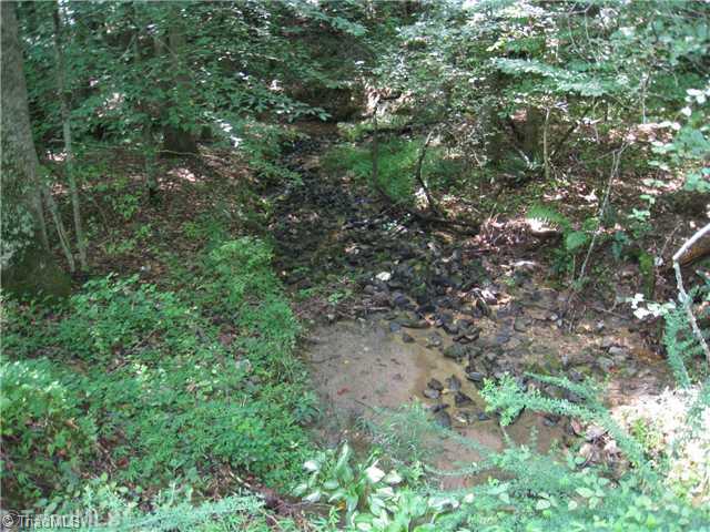 Tbd East Old Phillips Road Pinnacle, NC 27043 - Photo 11 of 12 Other. CREEK