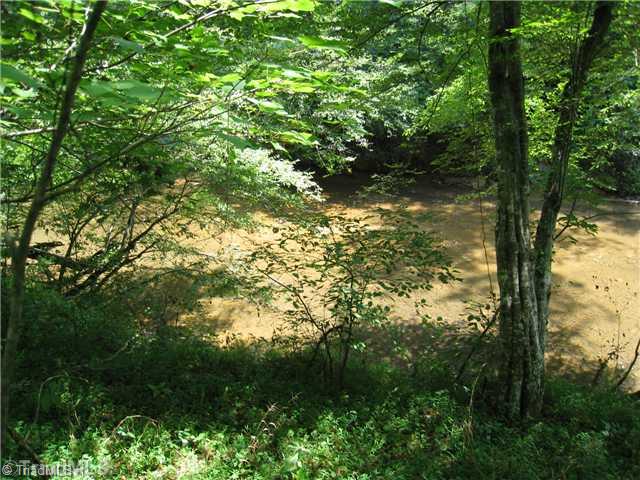 Tbd East Old Phillips Road Pinnacle, NC 27043 - Photo 7 of 12 Other. RIVER