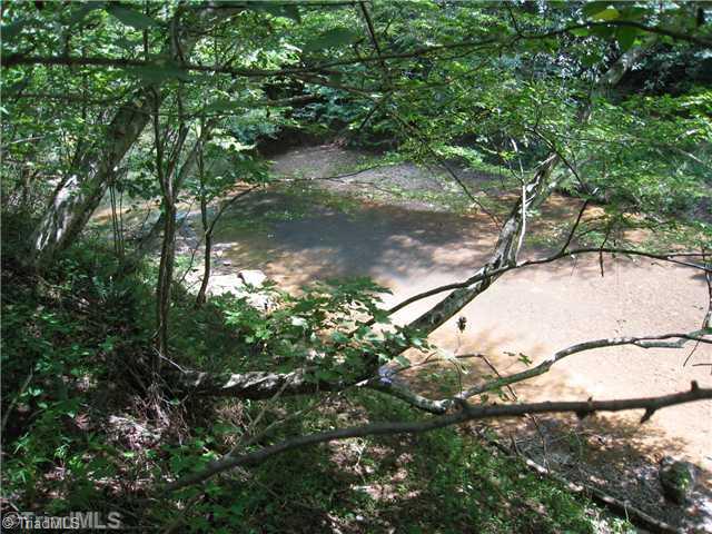 Tbd East Old Phillips Road Pinnacle, NC 27043 - Photo 8 of 12 Other. RIVER