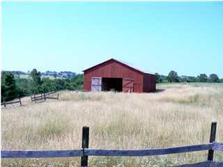1476 Whitaker Road Leitchfield, KY 42754 - Photo 1 of 1 Primary Photo