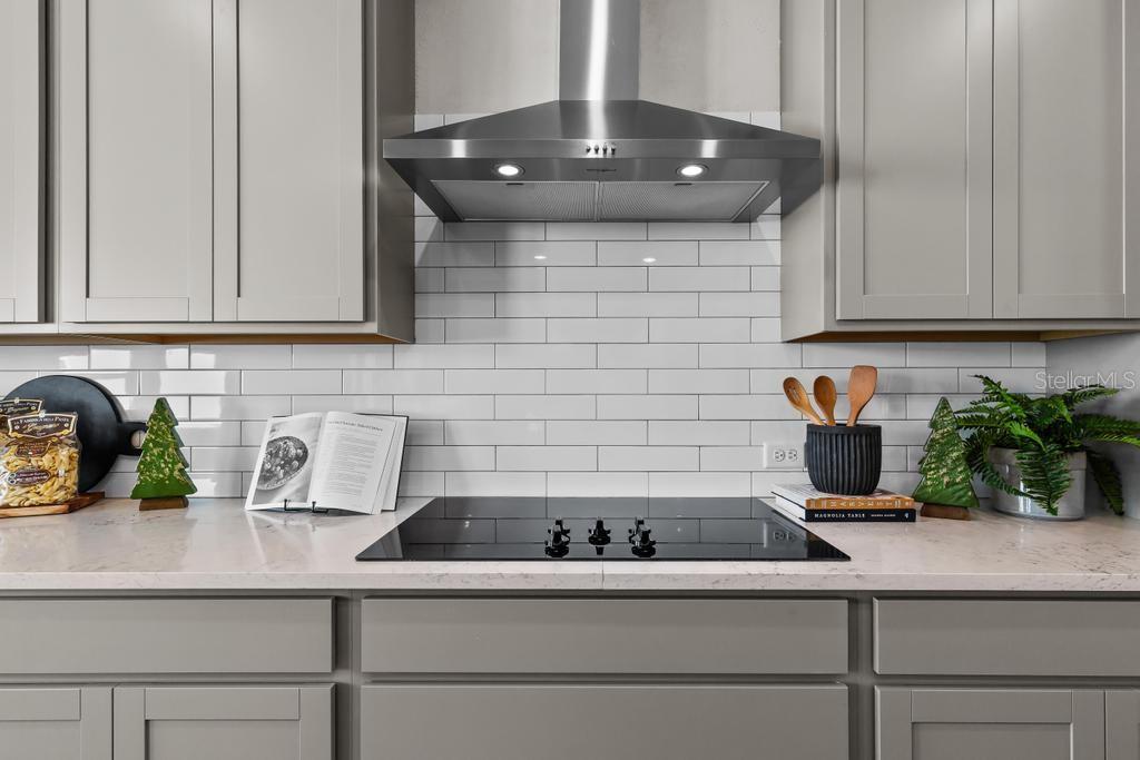 60 Pegasus Road Flagler Beach, FL 32136 - Photo 30 of 51 a kitchen with a sink and potted plant