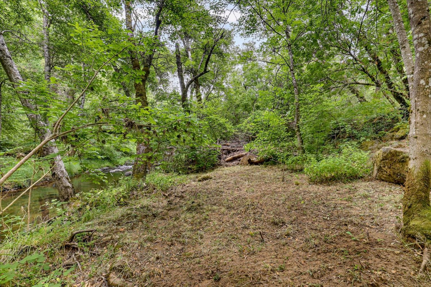 17422 Scopar Road Grass Valley, CA 95949 - Photo 21 of 63